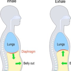 Prática de respiração consciente em ambiente calmo, sem uso de equipamentos
