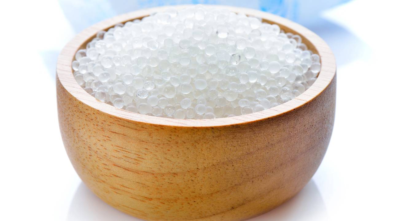 Folhas e galhos dessa &aacute;rvore de quintal geram cinzas ricas em s&iacute;lica para usos sustent&aacute;veis