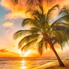 Por que o Sol se põe mais tarde no verão?