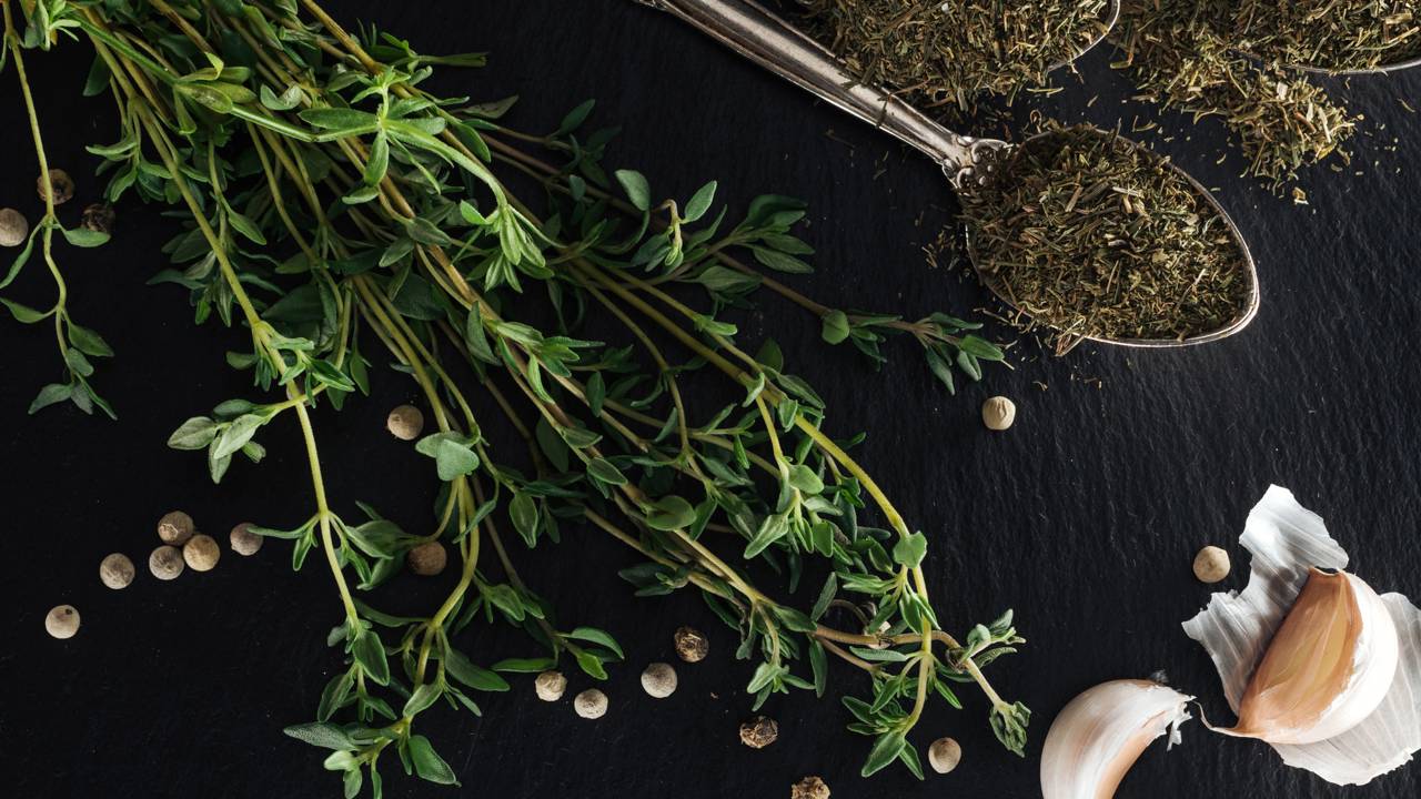 Erva de tomilho produzindo folhas aromáticas ao longo do ano.