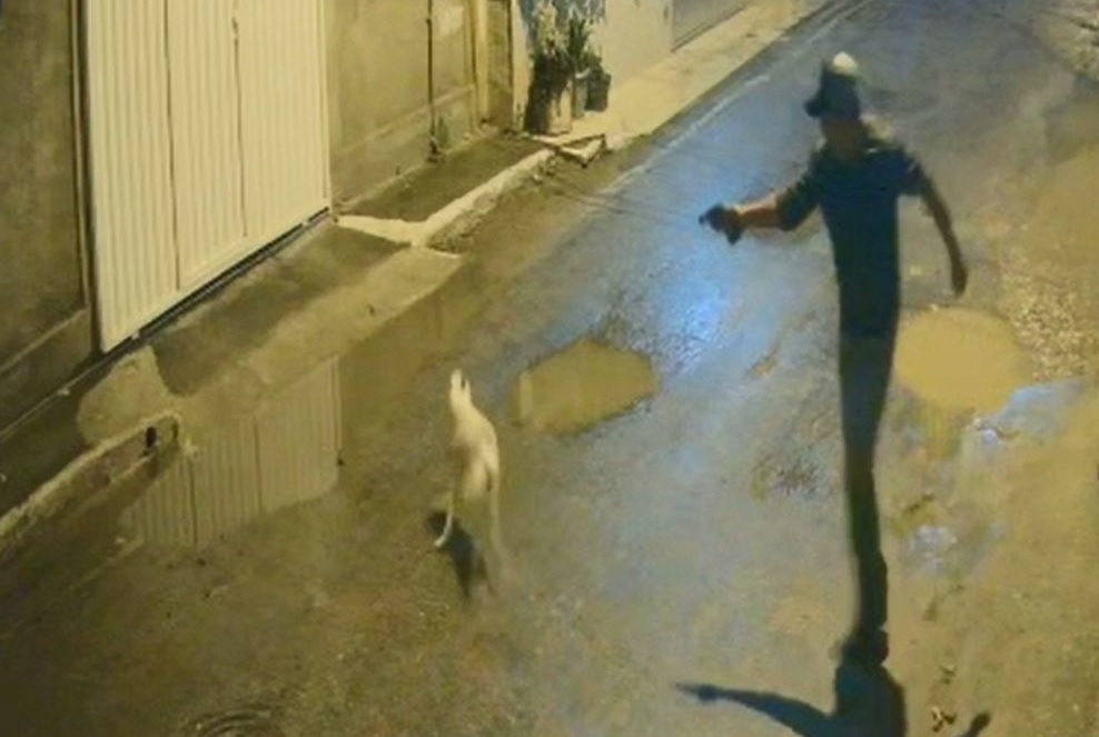 Reprodução/Redes Sociais Reprodução/Redes Sociais