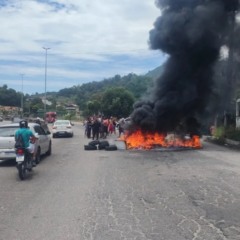 Reprodu&ccedil;&atilde;o