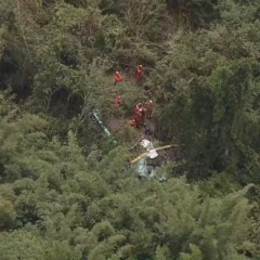 Reprodução/TV Globo
