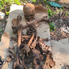 Divulga&ccedil;&atilde;o/Pol&iacute;cia Civil