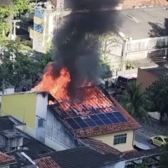 Imagens enviadas por uma leitora