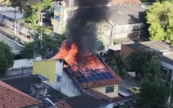Imagens enviadas por uma leitora