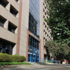 Censo Previ-Rio: passo a passo para atualizar dentro do prazo