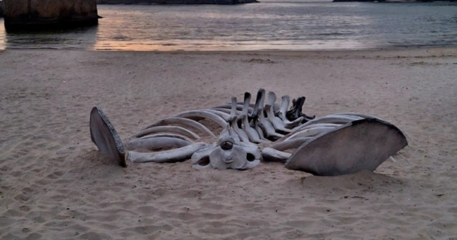 pescadores de Piratininga