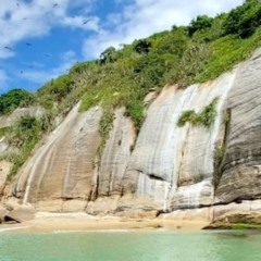 Quase ninguém sabe, mas perto de Niterói existe um arquipélago com biodiversidade surpreendente