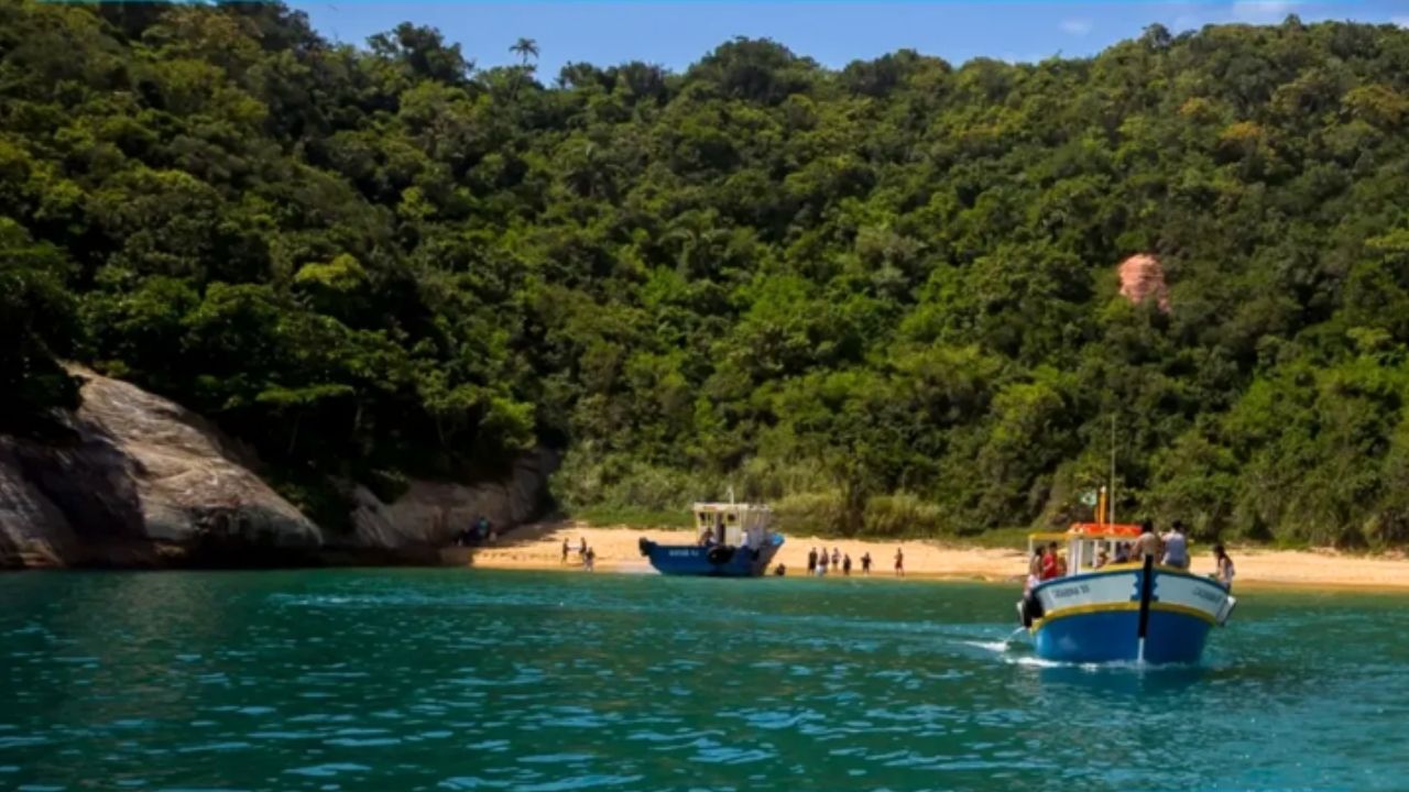 Quase ninguém sabe, mas perto de Niterói existe um arquipélago com biodiversidade surpreendente