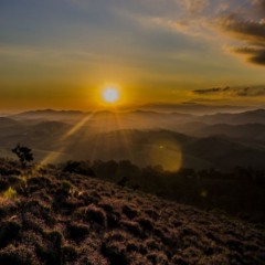 A cidade das lavandas que fica a 4 horas de Niterói e promete férias com cheiro de campo