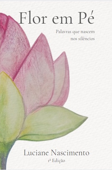 Lan&ccedil;amento de livro