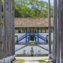 Bate e volta no interior do RJ para quem quer explorar cultura e paisagens lindas