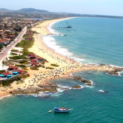 Reprodu&ccedil;&atilde;o