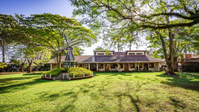 Holambra oferece do sabor do Stroopwafel &agrave; magia dos campos coloridos de flores // Cr&eacute;ditos: depositphotos.com / paulobaqueta