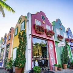 A Holanda Brasileira fica a poucas horas do RJ e encanta com moinhos, flores e tranquilidade