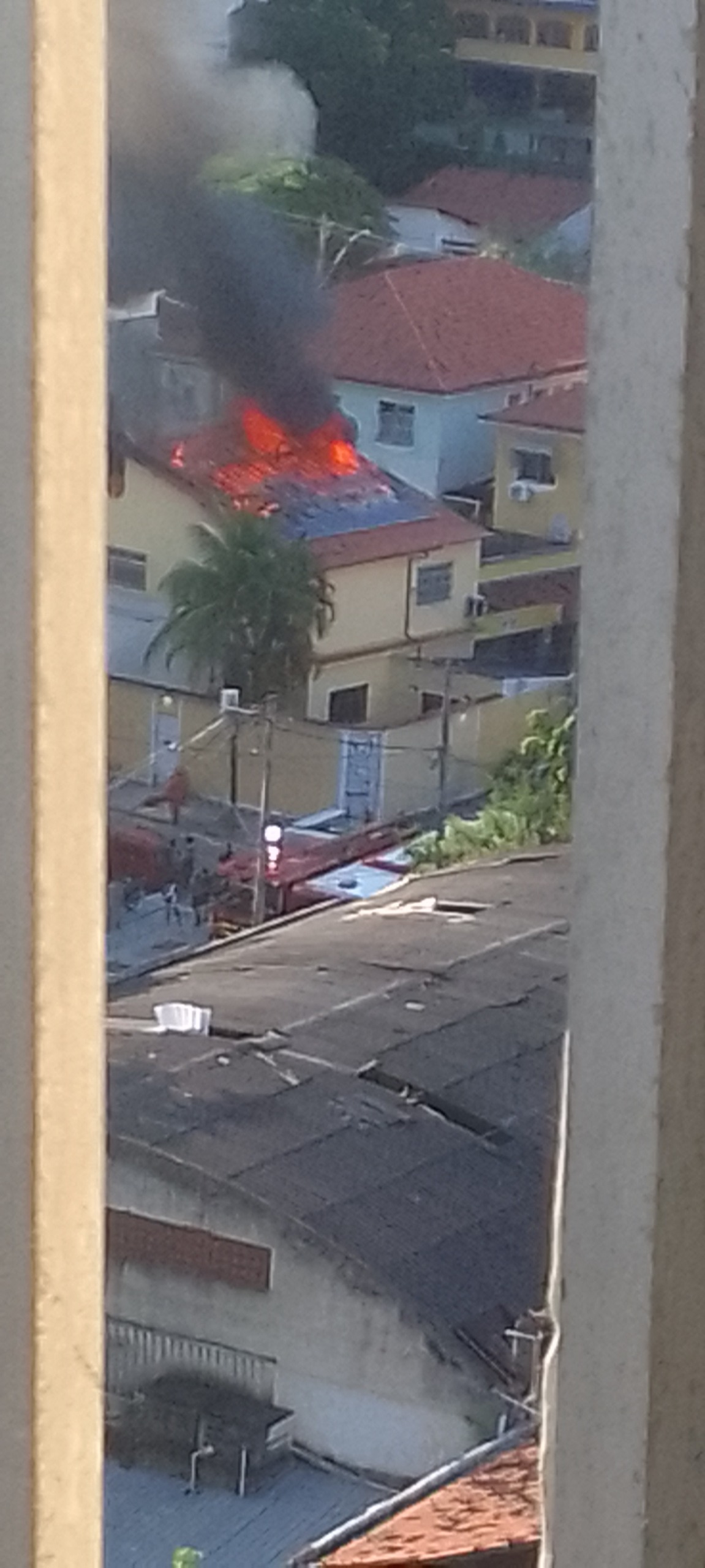 Foto: Bernardo Bastos Guimarães Foto: Bernardo Bastos Guimarães