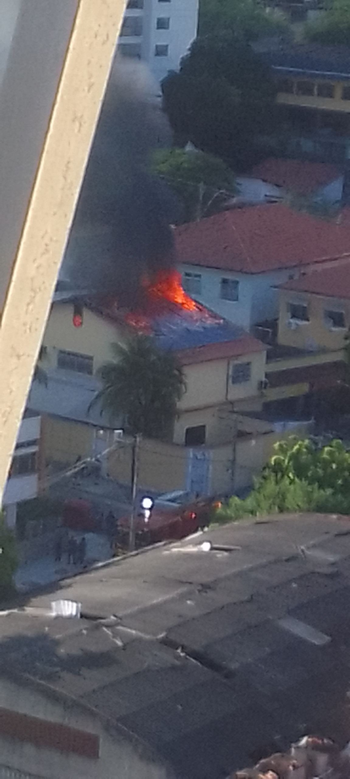 Foto: Bernardo Bastos Guimarães Foto: Bernardo Bastos Guimarães