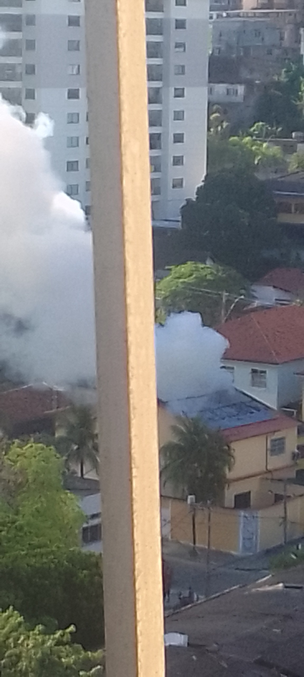 Foto: Bernardo Bastos Guimarães Foto: Bernardo Bastos Guimarães