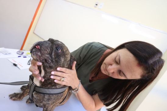 Serviços veterinários gratuitos