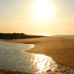 Este ref&uacute;gio a menos de 3 horas de Niter&oacute;i atrai os apaixonados pela natureza