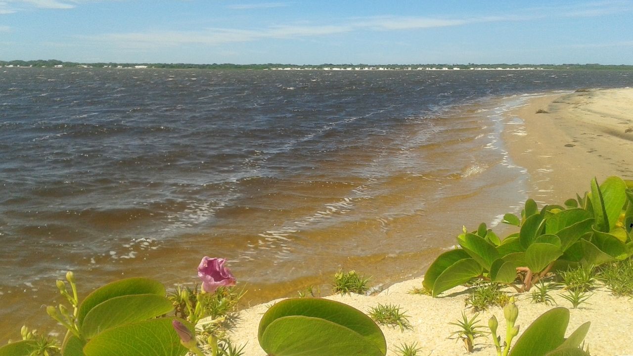 Este ref&uacute;gio a menos de 3 horas de Niter&oacute;i atrai os apaixonados pela natureza