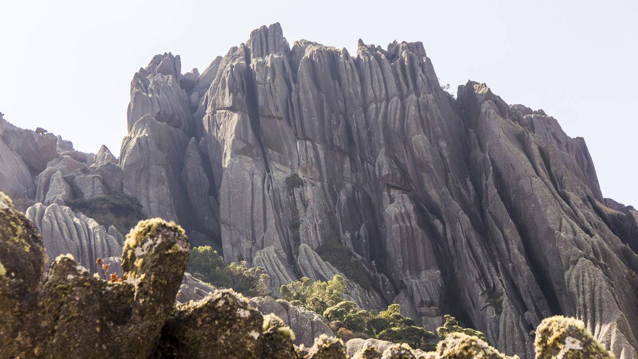 O lugar perfeito para se reconectar com a natureza est&aacute; a 3 horas de Niter&oacute;i