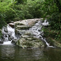 Este parque ao lado de Niterói surpreende com natureza preservada e vistas de tirar o fôlego