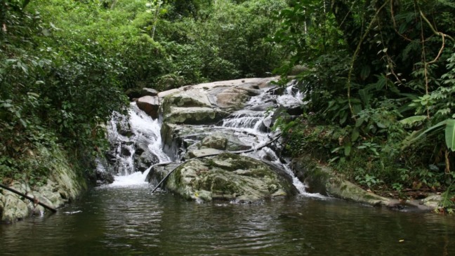 Este parque ao lado de Niterói surpreende com natureza preservada e vistas de tirar o fôlego