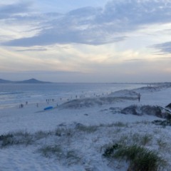 Esta praia no litoral do RJ surpreende quem busca tranquilidade