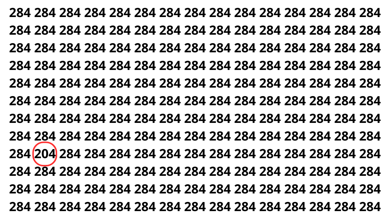 Encontre o número 204 entre vários 284 em menos de 8 segundos