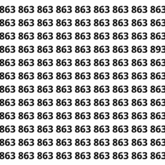 Encontre o número 893 entre os números 863 em menos de 8 segundos