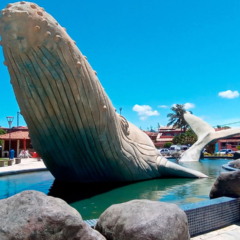 Rio das Ostras é marcada por qualidade de vida, natureza e hospitalidade // Créditos: depositphotos.com / alxcoimbra