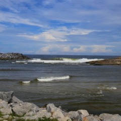 Esta cidade a 1 hora de Niterói é chamada de Maracanã do Surf e suas ondas atrai atletas do mundo todo