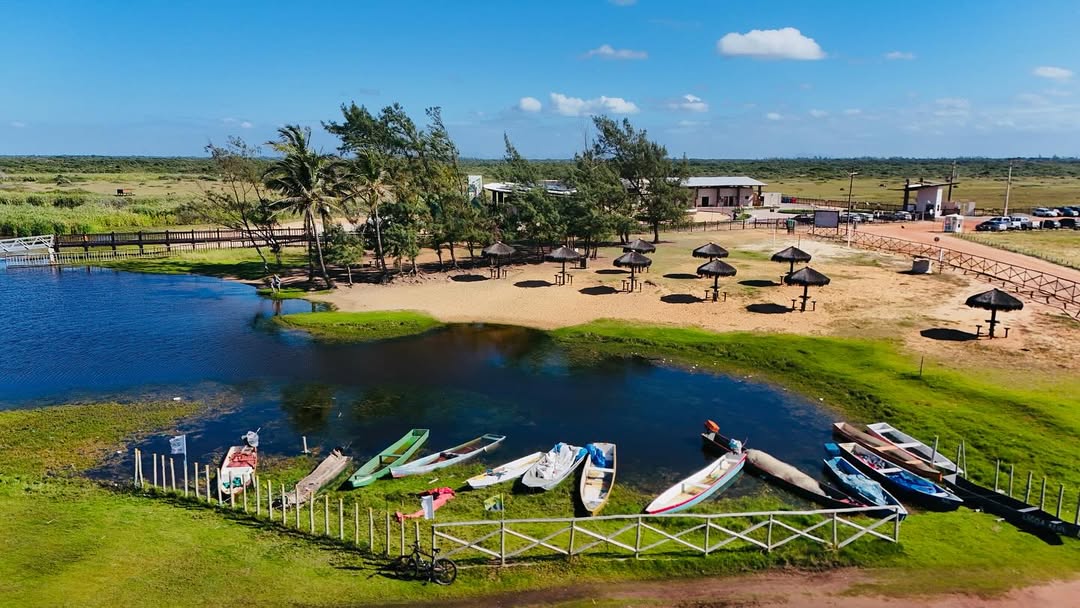A reserva natural no RJ onde voc&ecirc; pode ver a caminhada dos filhotes de tartarugas em dire&ccedil;&atilde;o ao mar