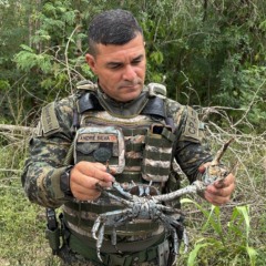 Divulga&ccedil;&atilde;o/Inea