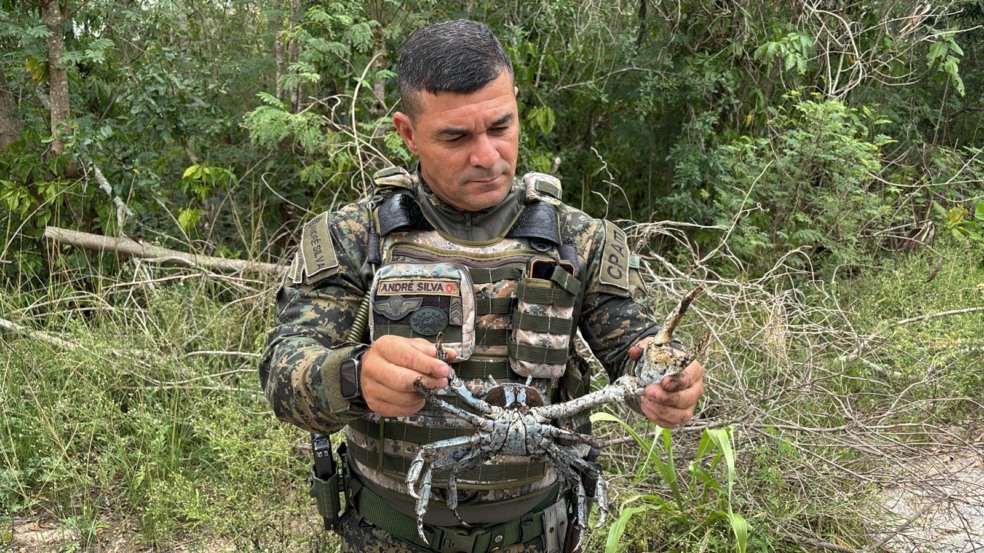 Divulgação/Inea Divulgação/Inea