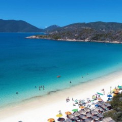 Créditos: depositphotos.com / Cristian_Lourenco