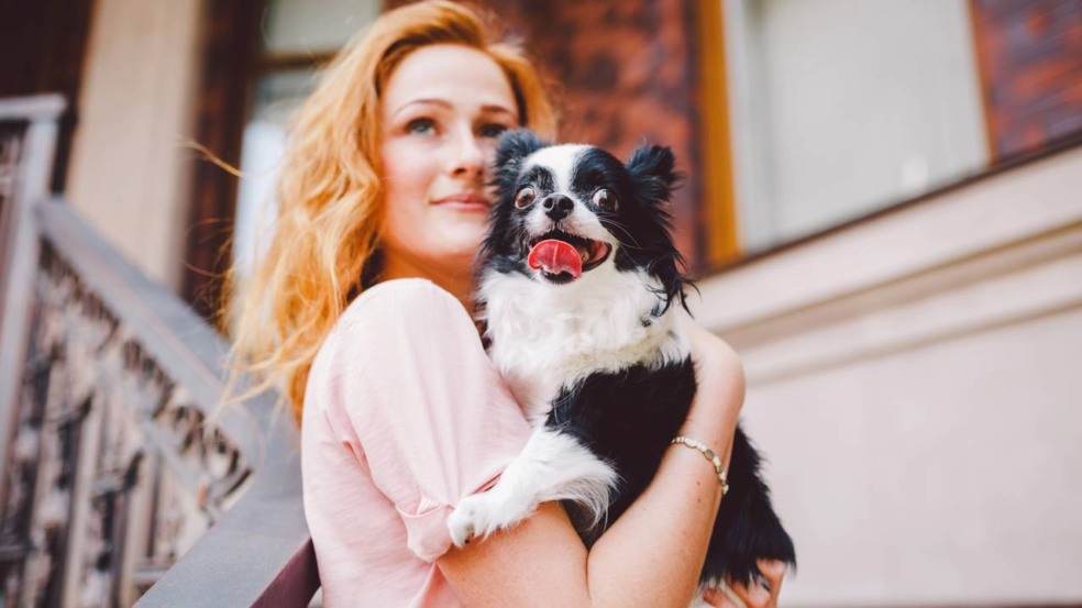 Muitos pets escolhem uma pessoa como referência por causa da rotina, da previsibilidade e da sensação de segurança. Muitos pets escolhem uma pessoa como referência por causa da rotina, da previsibilidade e da sensação de segurança.