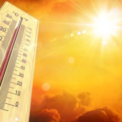 Créditos: depositphotos.com / rfphoto