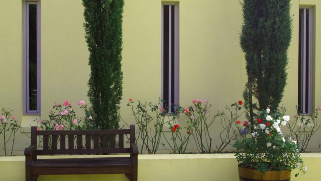 10 plantas ideais para canteiros estreitos que facilitam o paisagismo