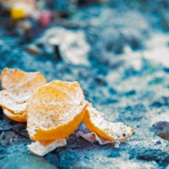 Casca de laranja sobre resíduos orgânicos dentro da lixeira da cozinha.