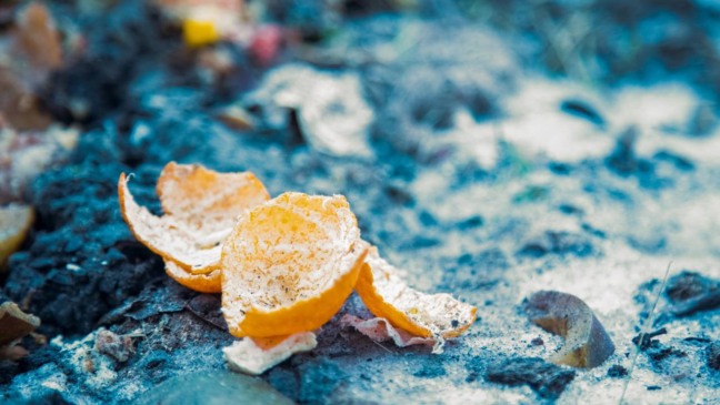 Casca de laranja sobre resíduos orgânicos dentro da lixeira da cozinha.