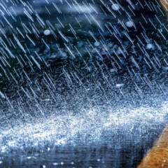 Créditos: depositphotos.com / maykal