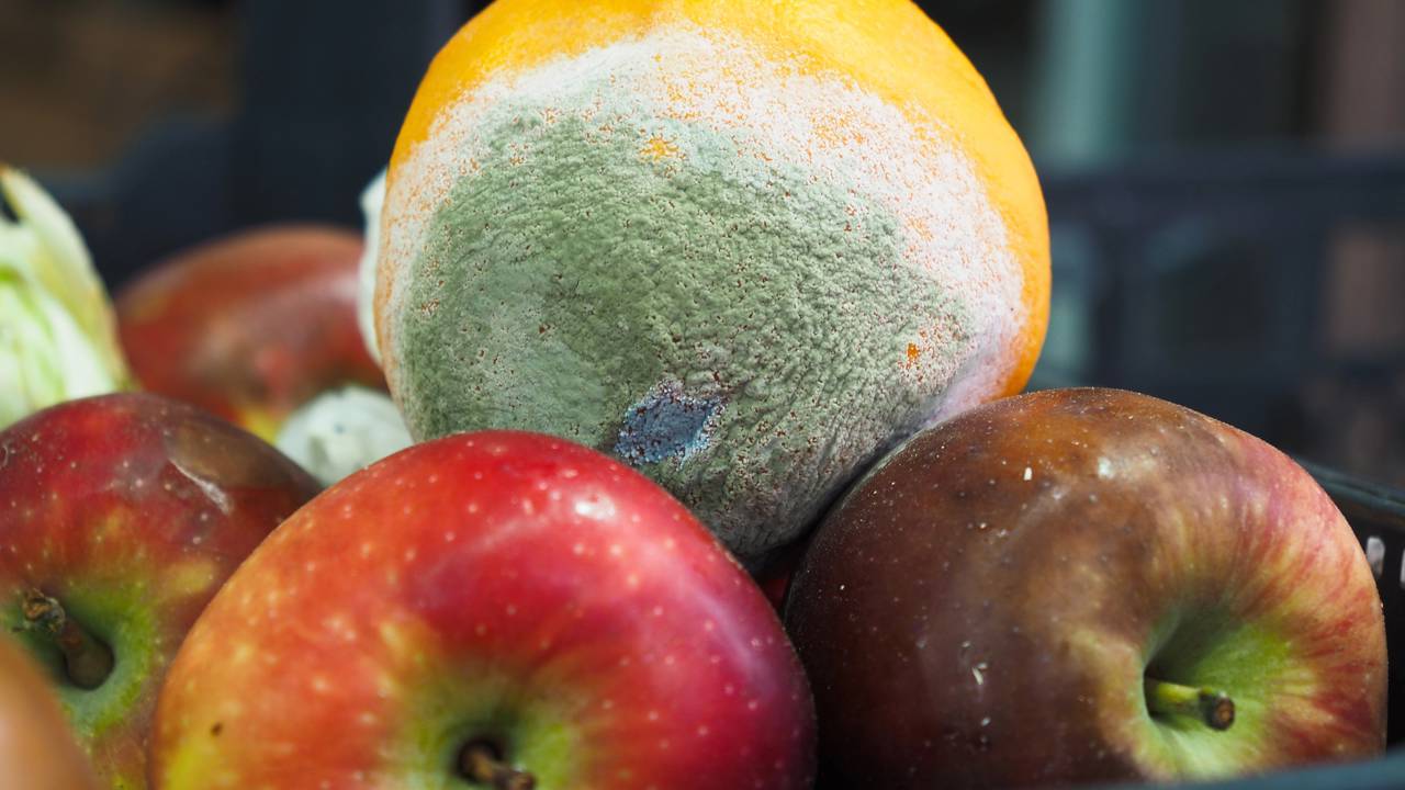 Por que alguns alimentos estragam rápido e outros duram meses na despensa