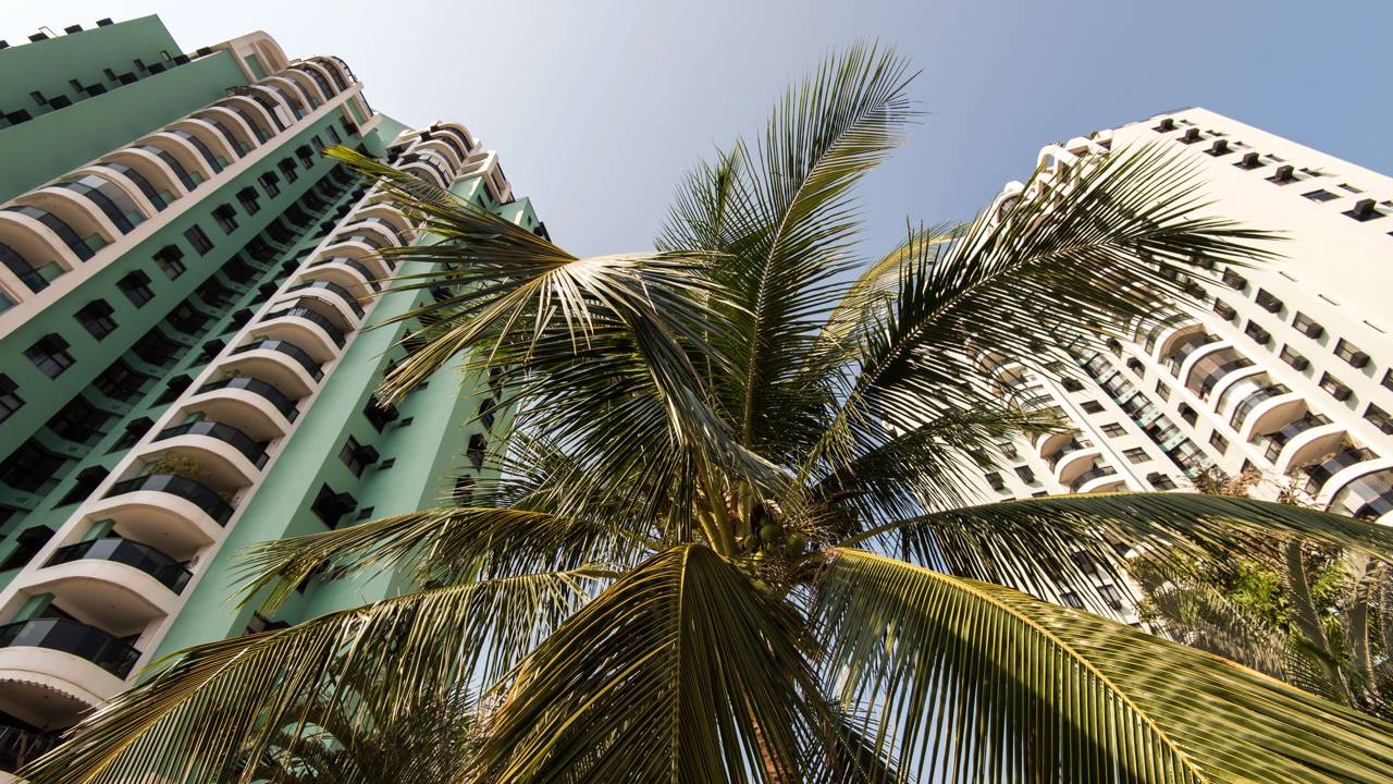 Cachorro latindo no condom&iacute;nio pode gerar multa? Lei define at&eacute; onde vai o limite do barulho