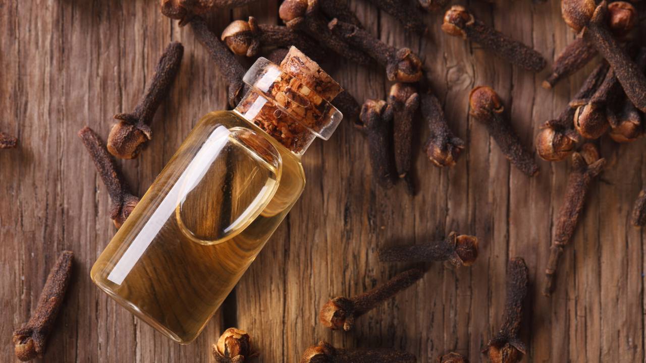 Cravos-da-índia secos sobre superfície clara em ambiente doméstico.