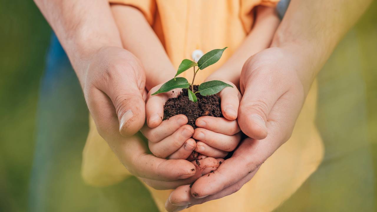 Plantar com crian&ccedil;as ensina paci&ecirc;ncia, cuidado e observa&ccedil;&atilde;o.