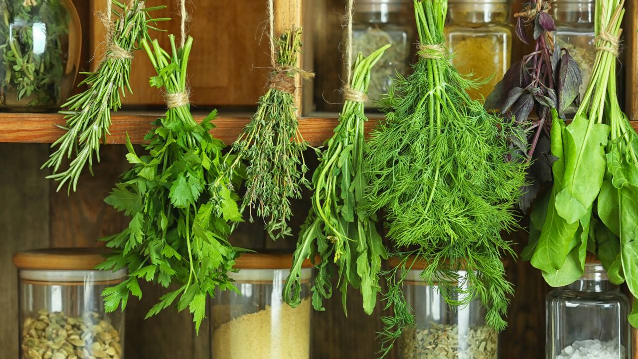 Ervas frescas usadas no tempero do churrasquinho de rua com salsinha cebolinha e coentro