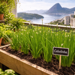 Como cultivar cebolinha em vaso e colher sem perder a planta e manter o tempero sempre fresco